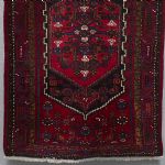 1165 4351 ORIENTAL RUG